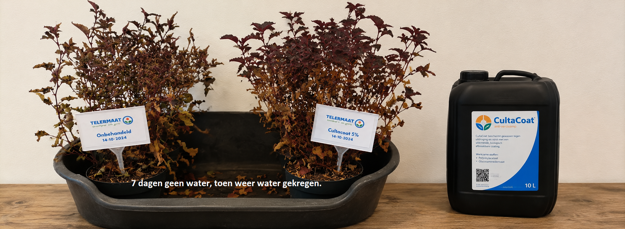 Cultacoat tegen uitdroging